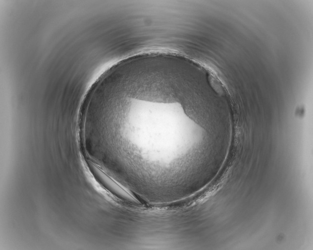 X0000093591038200710291118