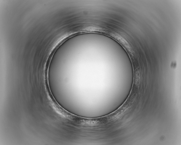 X0000093591039200710291118