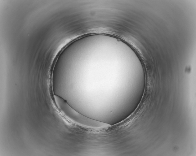 X0000093591040200710291118