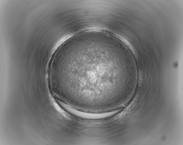 X0000093591042200710291118