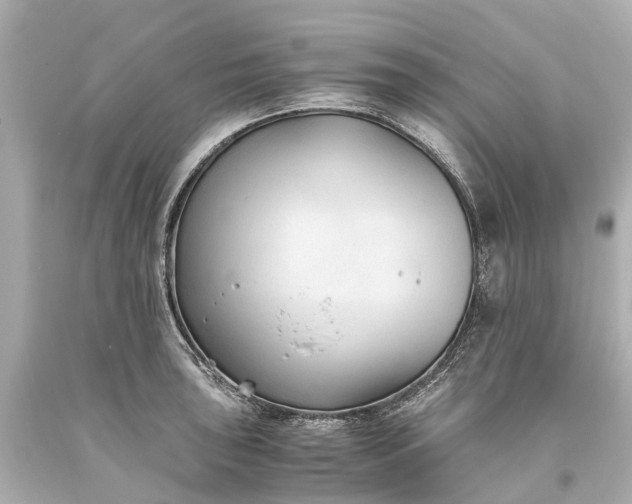 X0000093591043200710291118