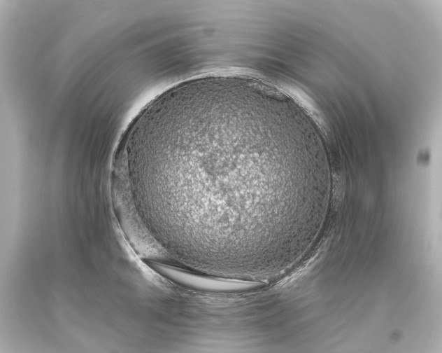 X0000093591046200710291118