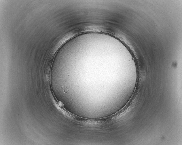 X0000093591049200710291118