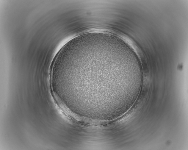 X0000093591050200710291118
