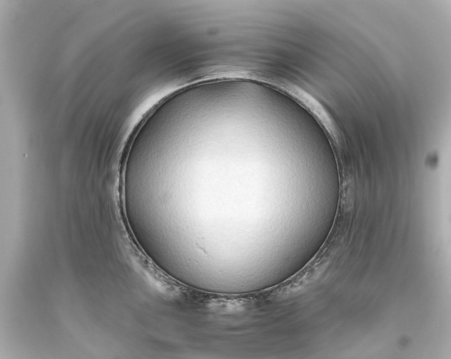 X0000093591051200710291118