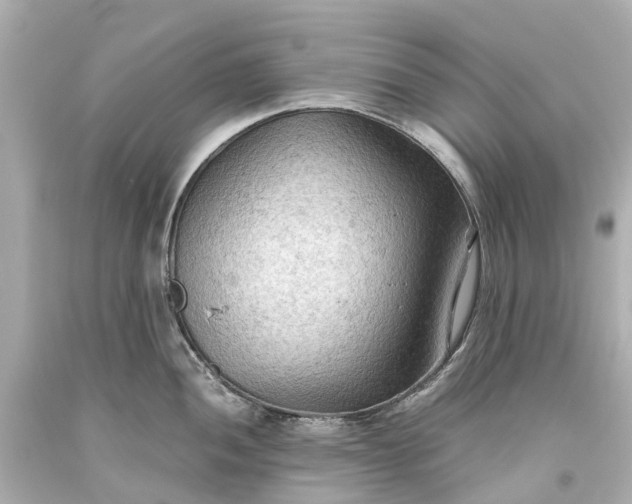 X0000093591052200710291118