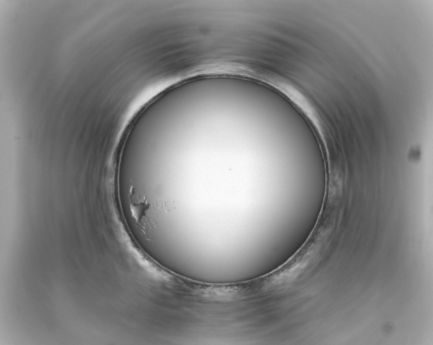 X0000093591053200710291118