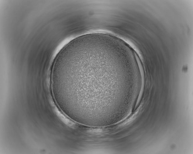X0000093591054200710291118