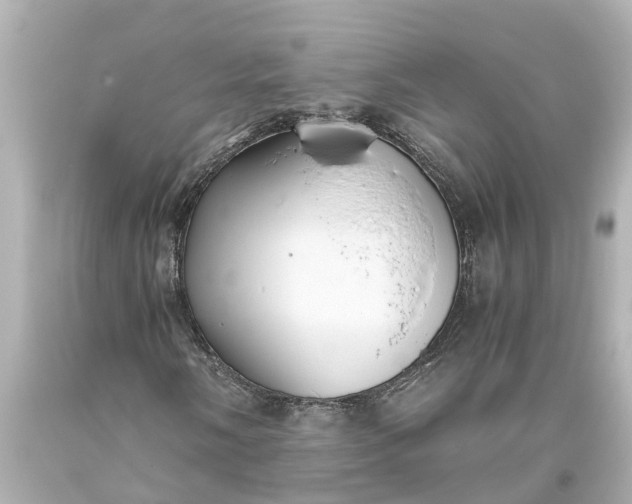 X0000093591058200710291117