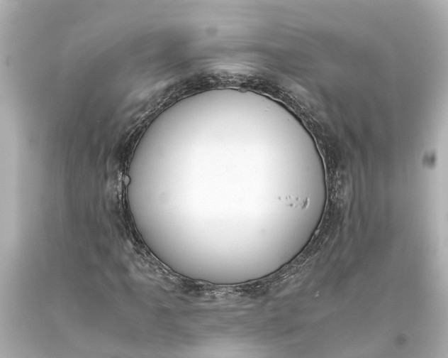 X0000093591061200710291117