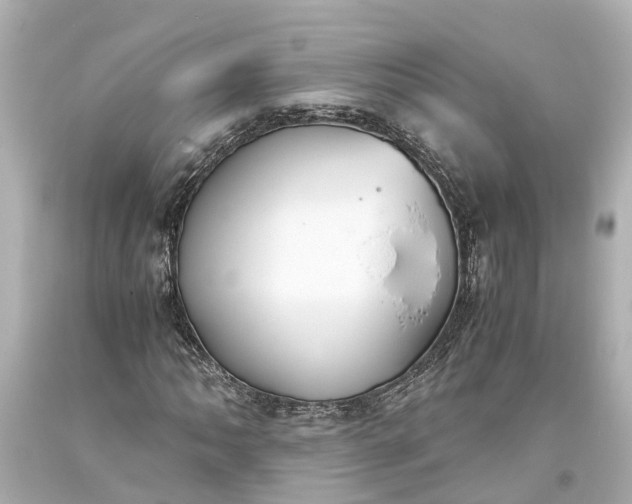 X0000093591062200710291117