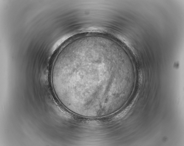 X0000093591066200710291117