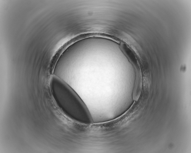 X0000093591069200710291117
