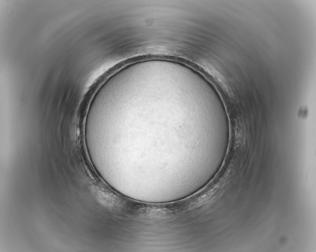 X0000093591070200710291117