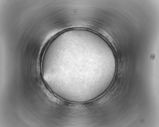 X0000093591072200710291117