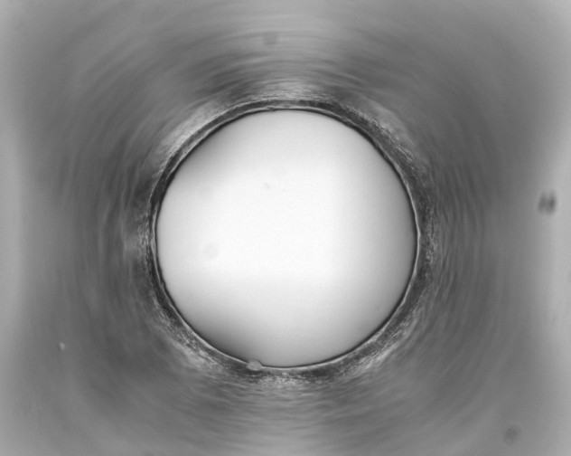 X0000093591073200710291117