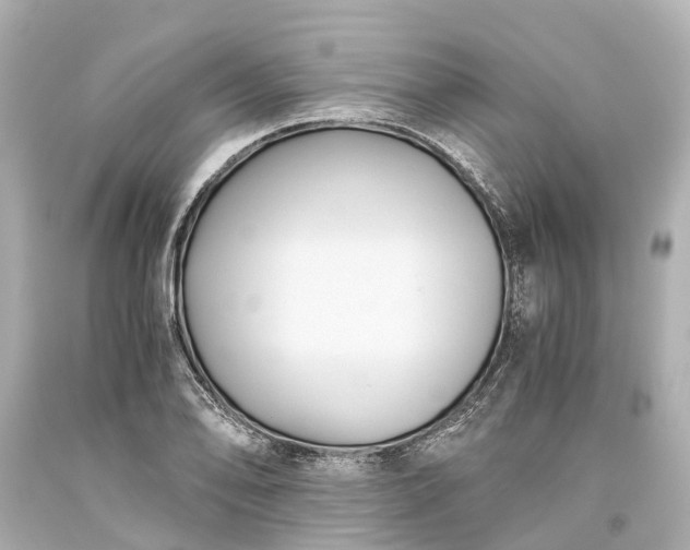 X0000093591078200710291117