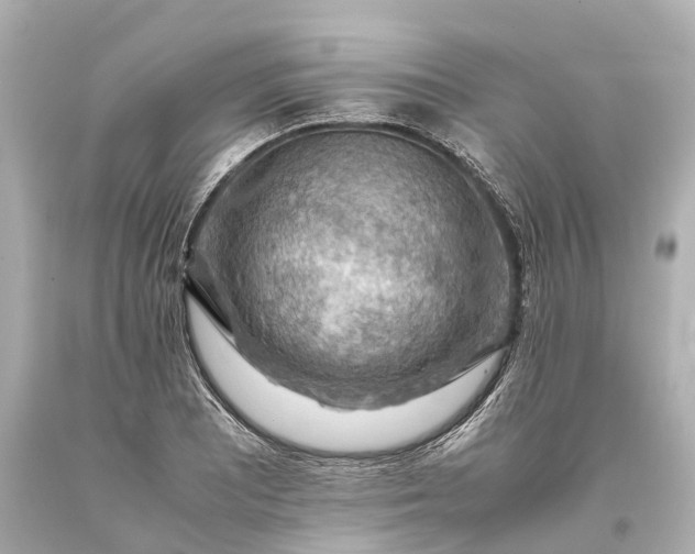 X0000093591081200710291117