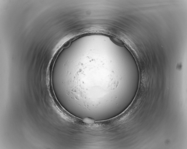 X0000093591082200710291117