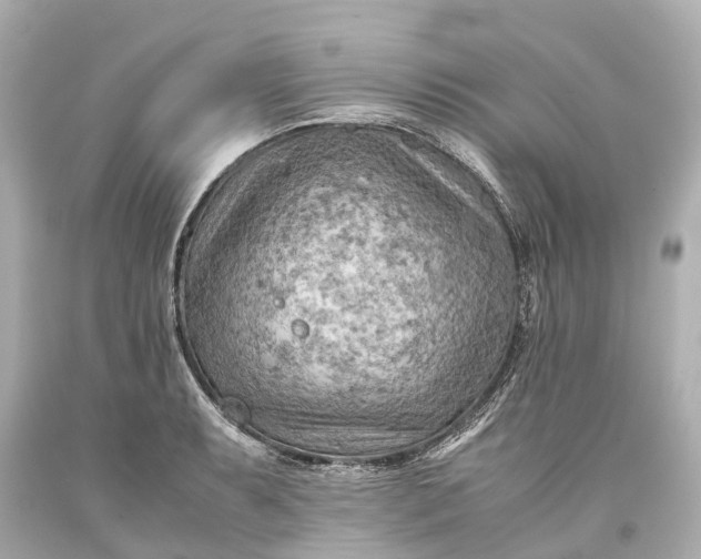 X0000093591087200710291117