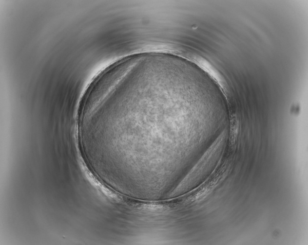 X0000093591088200710291117