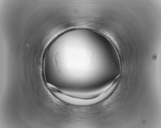 X0000093591093200710291117