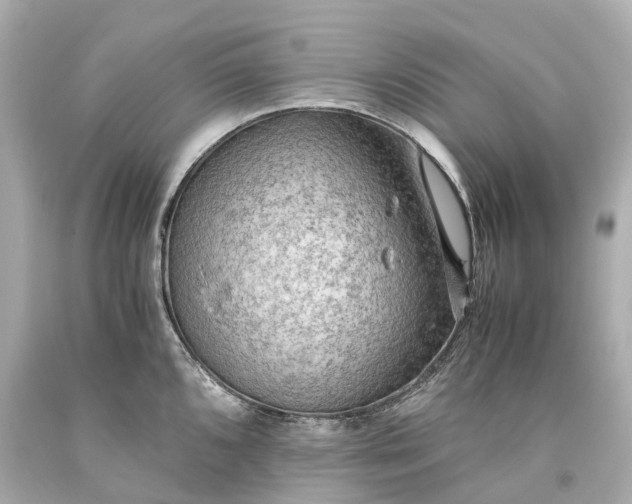 X0000093591096200710291117