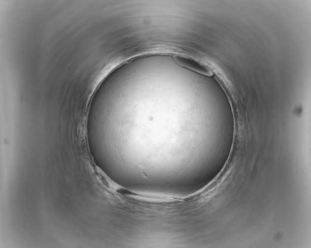 X0000093591097200710291117