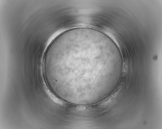 X0000093591098200710291117