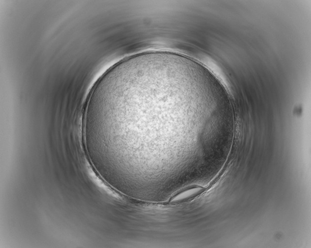 X0000093591100200710291117
