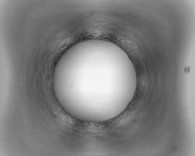 X0000093591105200710291116