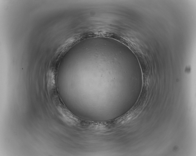 X0000093591106200710291116