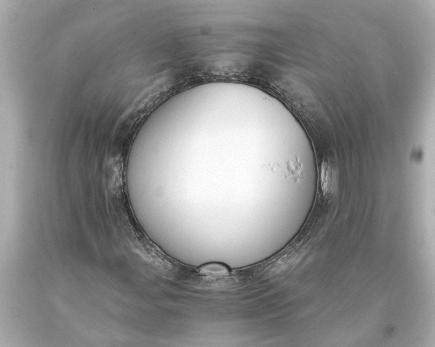X0000093591107200710291116