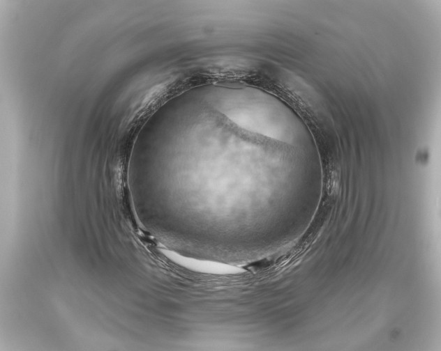 X0000093591108200710291116