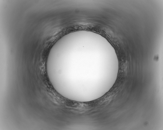 X0000093591109200710291116