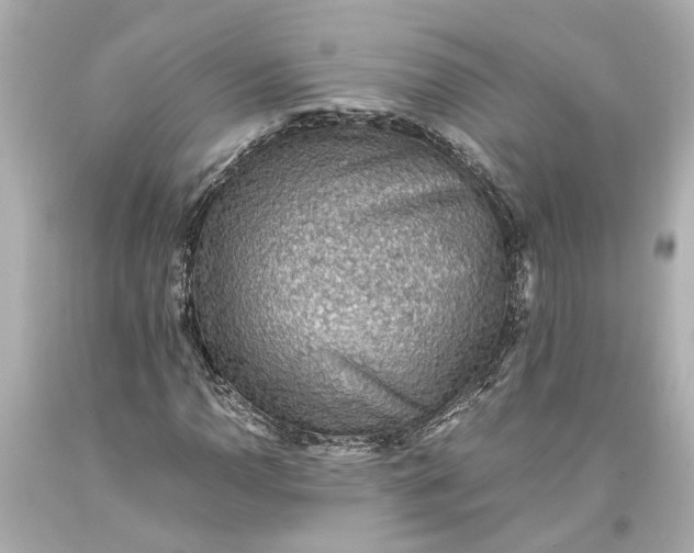 X0000093591110200710291116
