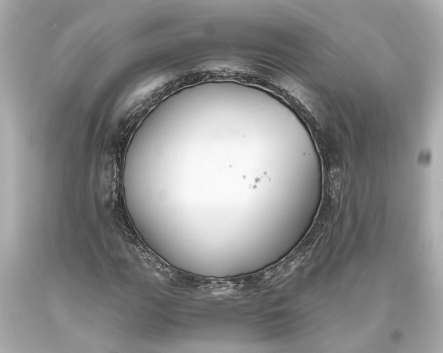 X0000093591111200710291116