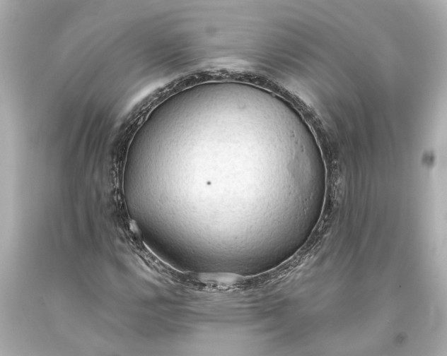 X0000093591112200710291116