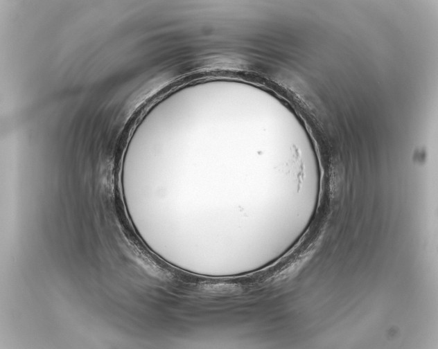X0000093591113200710291116