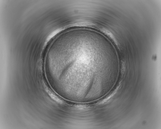 X0000093591114200710291116