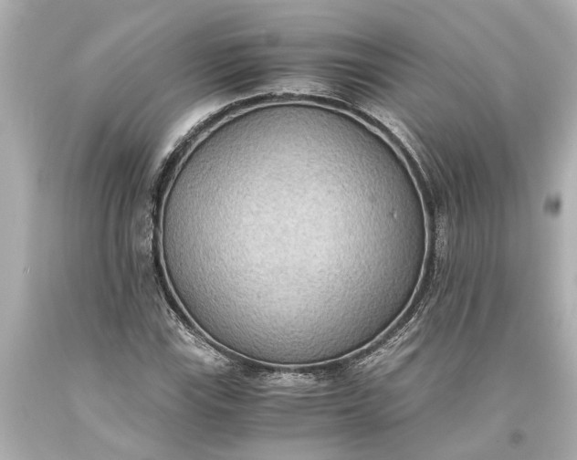 X0000093591115200710291116