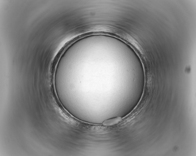X0000093591116200710291116
