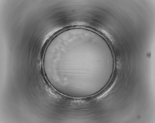X0000093591117200710291116