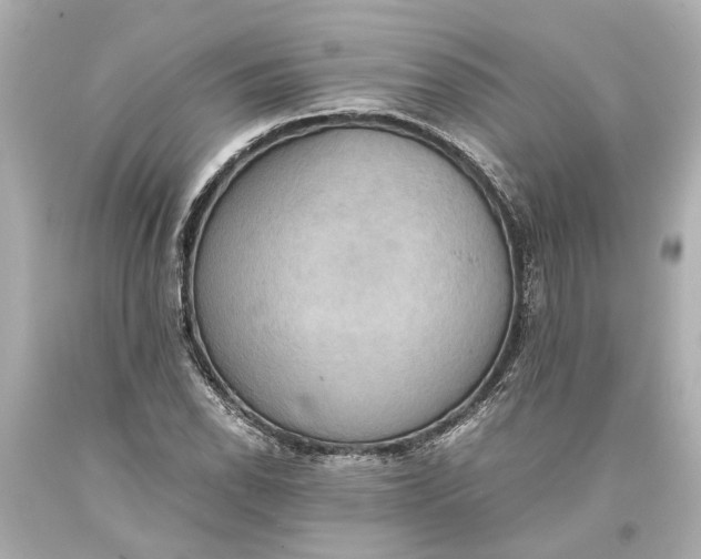 X0000093591118200710291116
