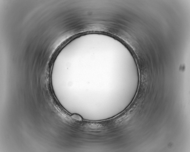 X0000093591119200710291116