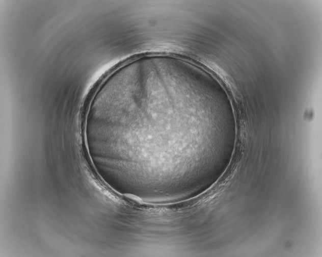 X0000093591120200710291116