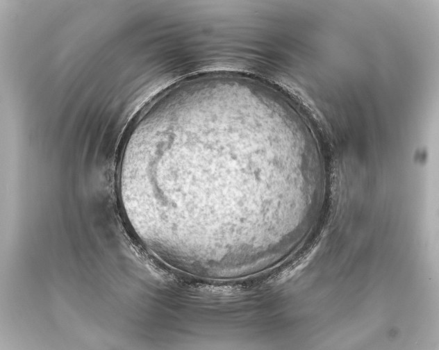 X0000093591121200710291116