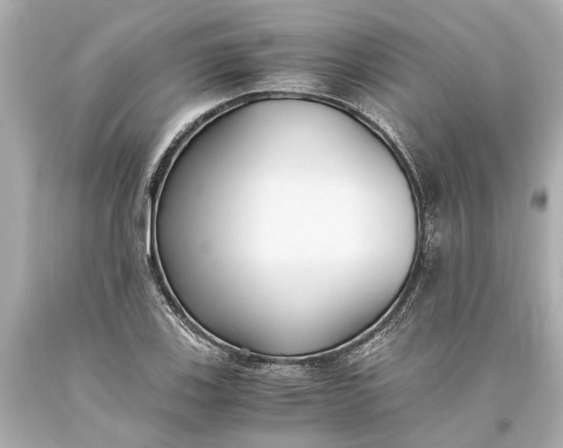 X0000093591123200710291116