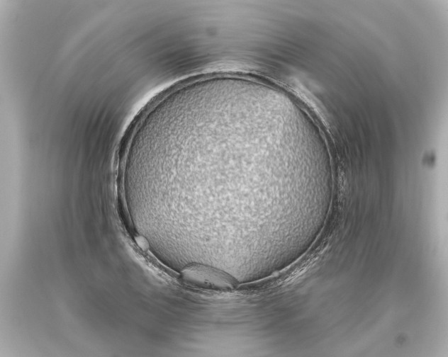 X0000093591124200710291116