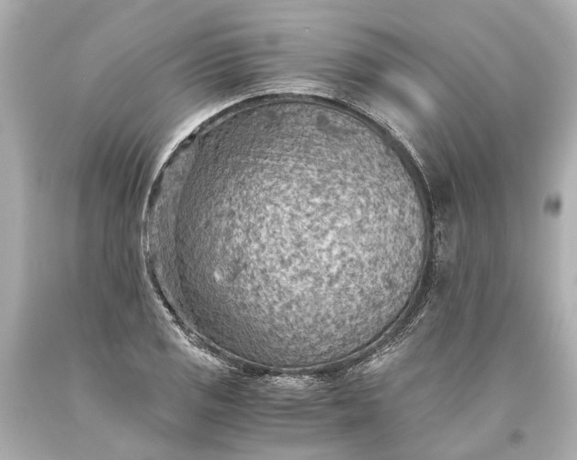 X0000093591125200710291116